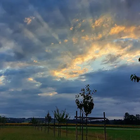 Attelblick *
